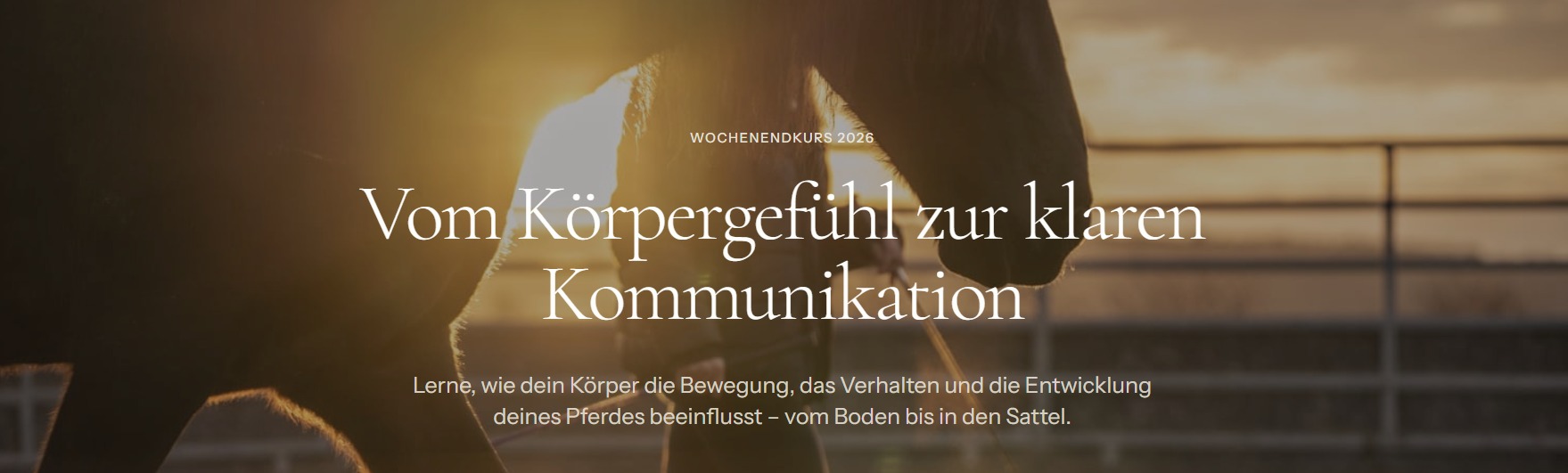 Lea Dietrich Seminar Koerpergefühl V1