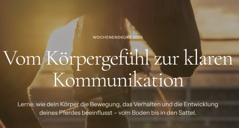 Lea Dietrich Seminar Koerpergefühl V2